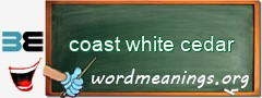 WordMeaning blackboard for coast white cedar